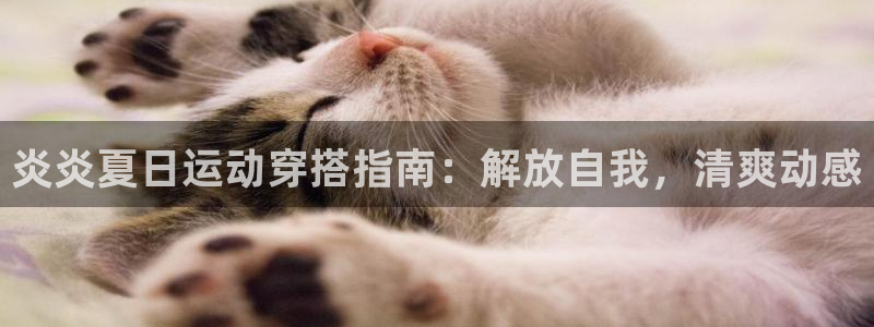 千亿cc国际