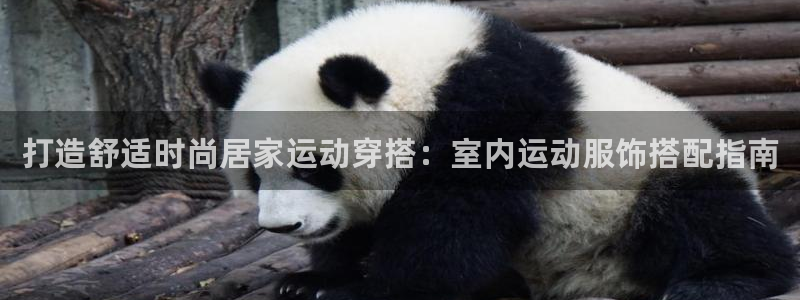 千亿国际qy88vip