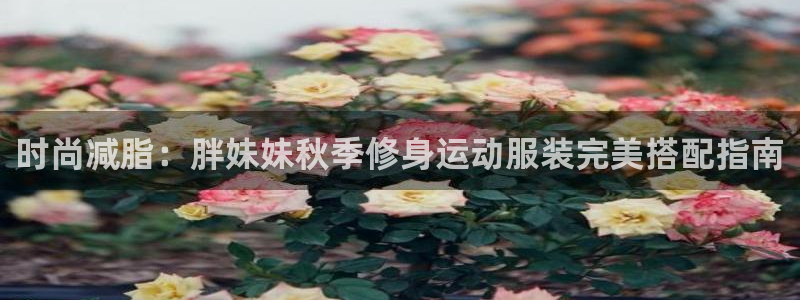 千亿国际
