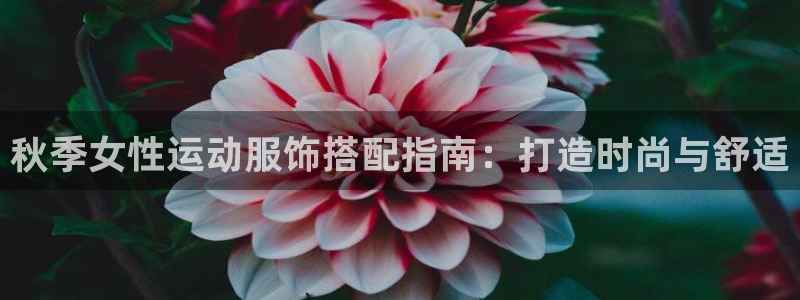 千亿国际网页版