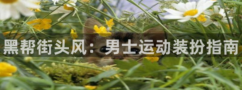 千亿国际体育