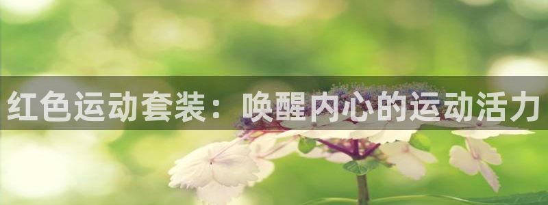 千亿国际旧版本