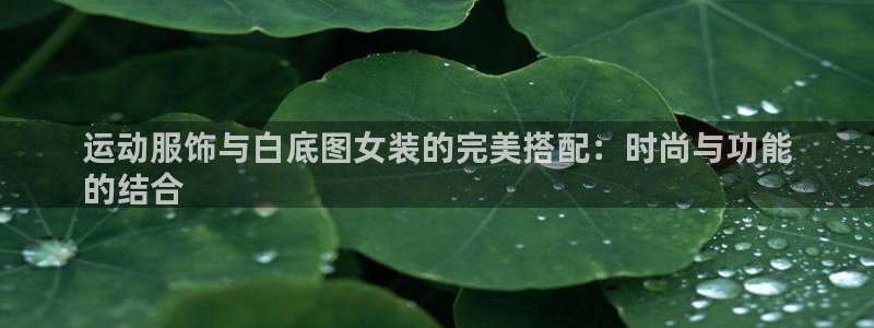 qy千亿国际