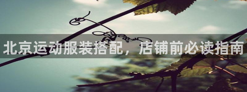 qy77千亿国际